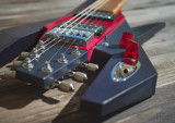 Crayfish guitar