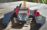 Crayfish guitar