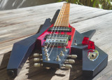 Crayfish guitar