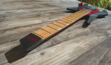 Crayfish guitar