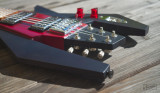 Crayfish guitar