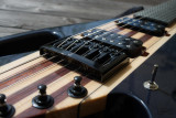 Shark guitar black