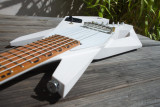 Piranha guitar acoustic