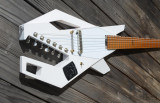 Piranha guitar acoustic