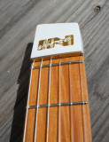 Piranha guitar acoustic