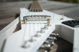 Piranha guitar acoustic