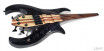 Manta bass