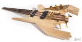 Crayfish bass