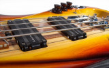 Shark bass