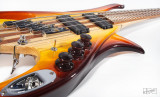 Shark bass