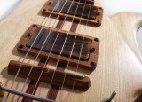 Manta guitar