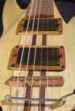 Manta guitar