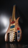 fretless Manta 10string guitar