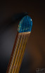 fretless Manta 10string guitar