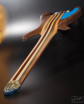fretless Manta 10string guitar