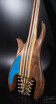 fretless Manta 10string guitar