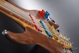 fretless Manta 10string guitar