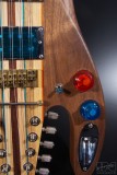 fretless Manta 10string guitar