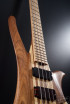 Manta bass medium scale
