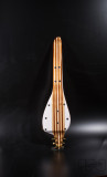 Lapsteel 2
