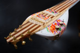 Lapsteel 2