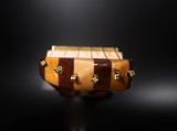 Lapsteel 2