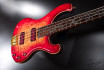 Thommis signature bass